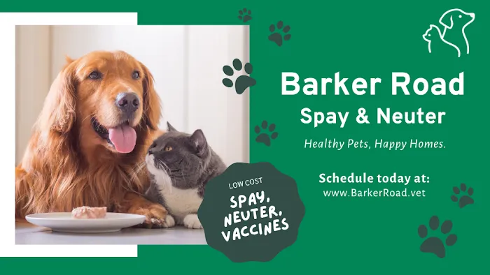 Barker Road Spay and Neuter Picture 5