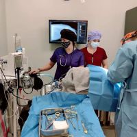 Advanced Veterinary Care of Greenwood Village ico