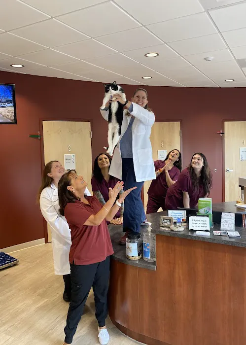 Aurora Hills Animal Hospital Picture 7