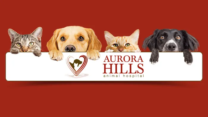 Aurora Hills Animal Hospital Picture 5