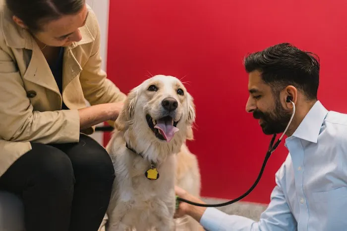 PetVet365 Pet Hospital Aurora Picture 2