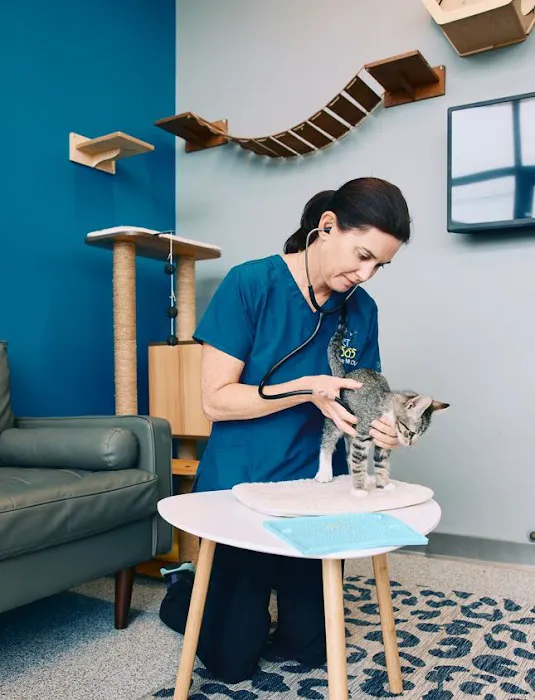 PetVet365 Pet Hospital Aurora Picture 3