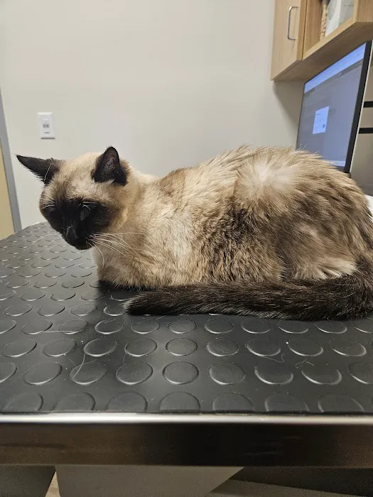 CityVet | Aurora Veterinary Clinic & Urgent Care Picture 9