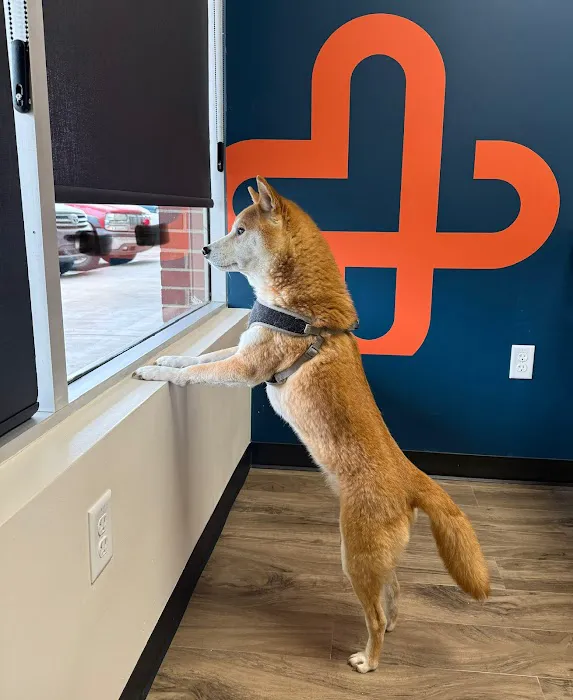 CityVet | Aurora Veterinary Clinic & Urgent Care Picture 3