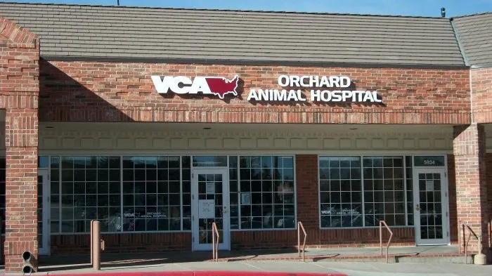 VCA Orchard Animal Hospital Picture 10