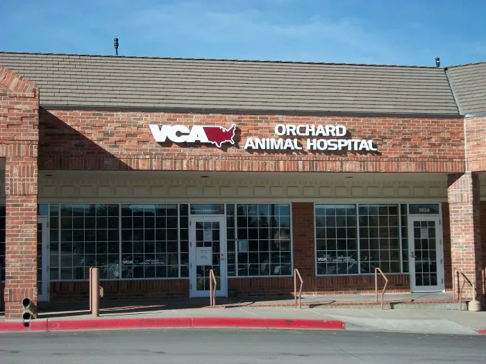 VCA Orchard Animal Hospital Picture 1
