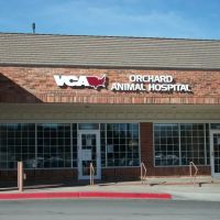 VCA Orchard Animal Hospital ico