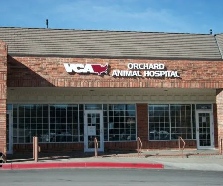 VCA Orchard Animal Hospital