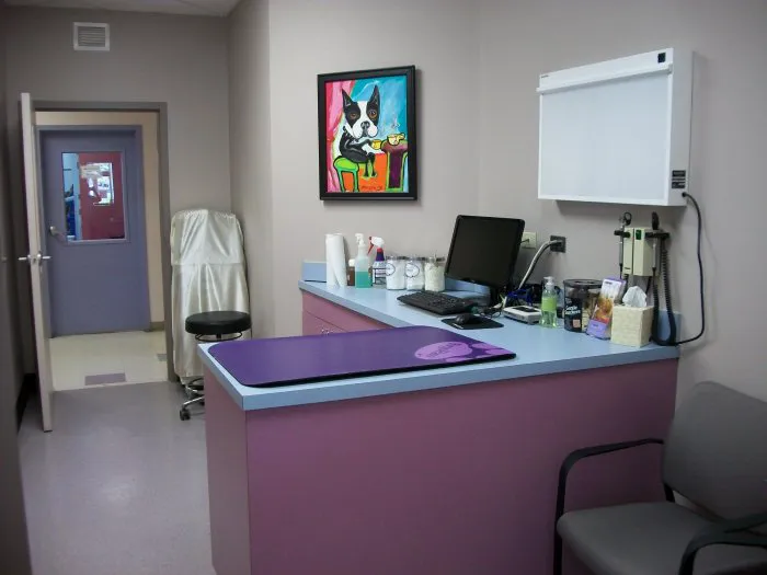 VCA Orchard Animal Hospital Picture 4