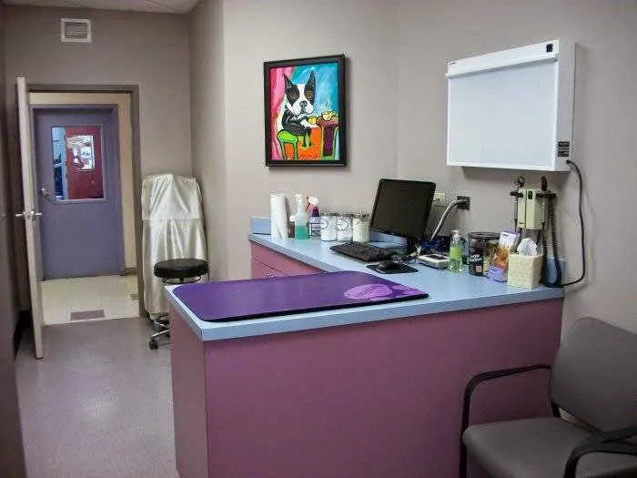 VCA Orchard Animal Hospital Picture 6