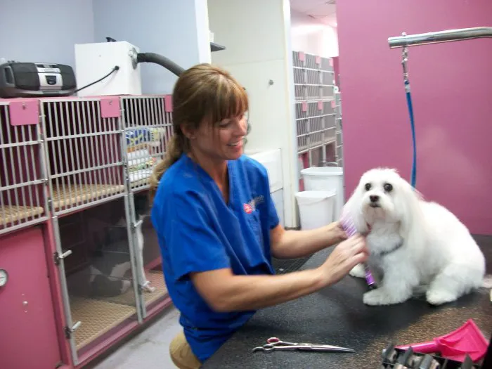 VCA Orchard Animal Hospital Picture 8