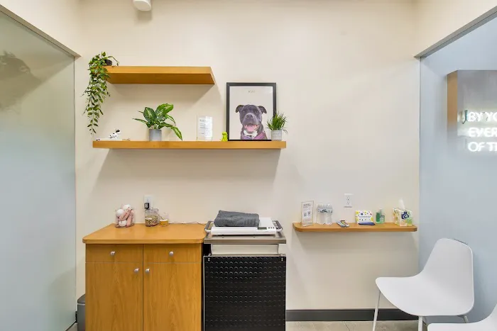 Sploot Veterinary Care - Greenwood Village Picture 6