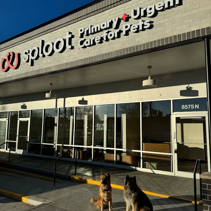 Sploot Veterinary Care - Greenwood Village Picture 1