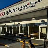 Sploot Veterinary Care - Greenwood Village ico
