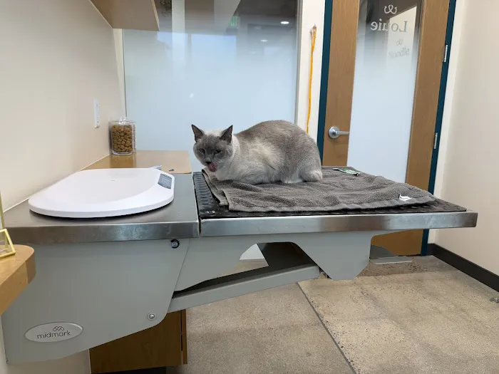Sploot Veterinary Care - Greenwood Village Picture 5