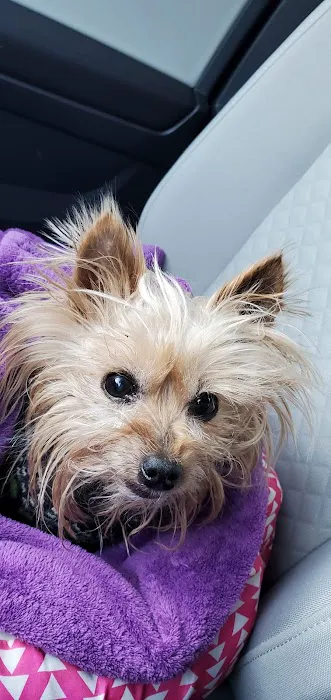 VCA Wingate Animal Hospital Picture 5