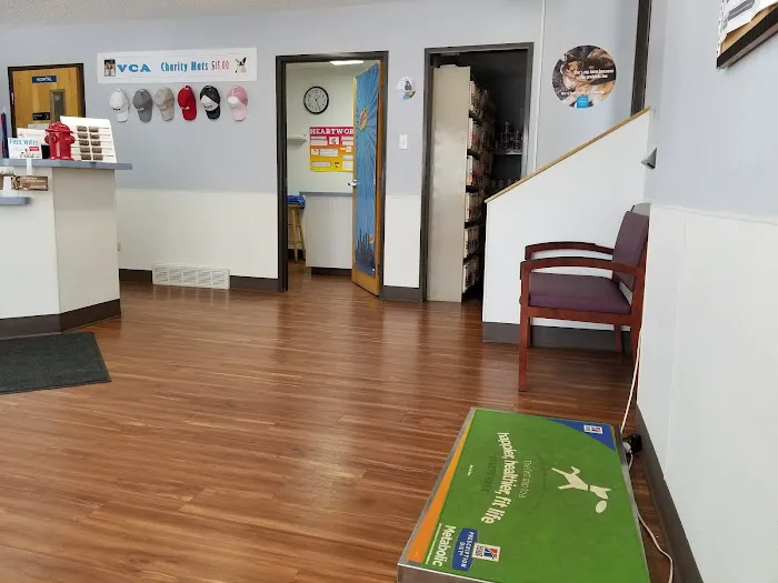 VCA Wingate Animal Hospital Picture 7