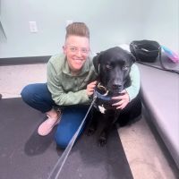 Apex Veterinary Specialists - Dermatology ico