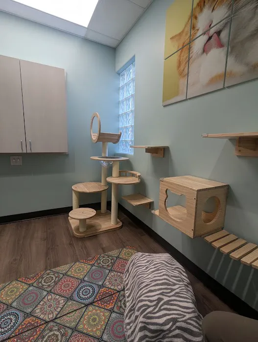 Apex Veterinary Specialists - Dermatology Picture 4