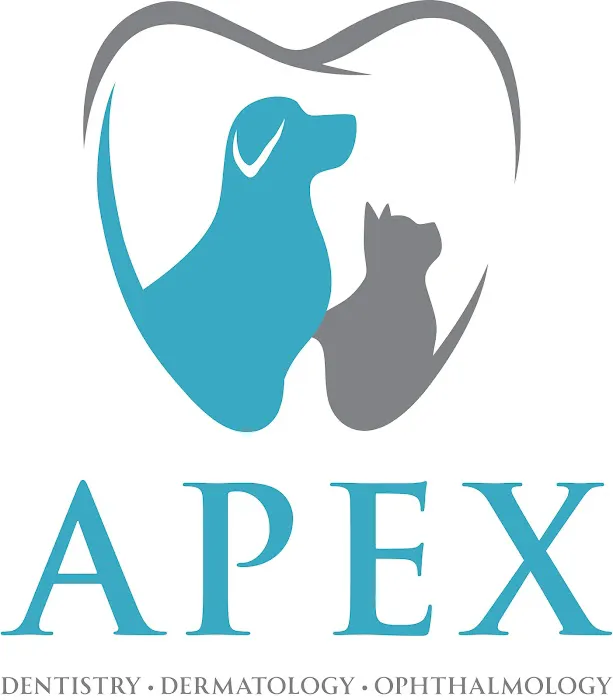 Apex Veterinary Specialists - Dermatology Picture 7