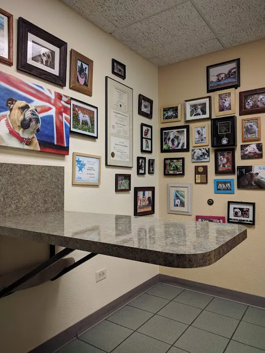 Homestead Animal Hospital Picture 3