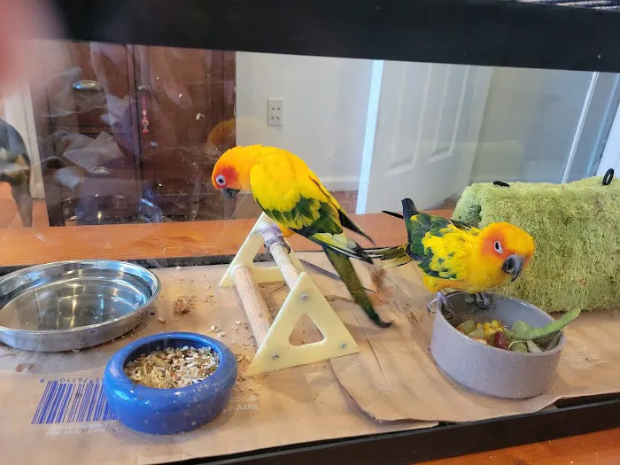Homestead Animal Hospital Picture 5