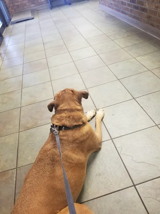 Homestead Animal Hospital Picture 8