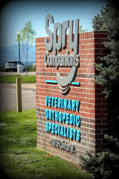 Spry Companions: Veterinary Orthopedic Specialists Picture 2