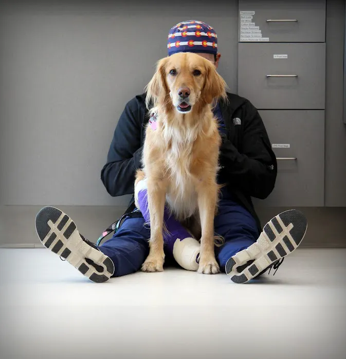 Spry Companions: Veterinary Orthopedic Specialists Picture 3