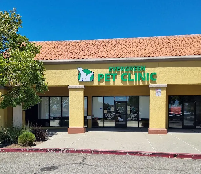 Evergreen Pet Clinic Picture 3