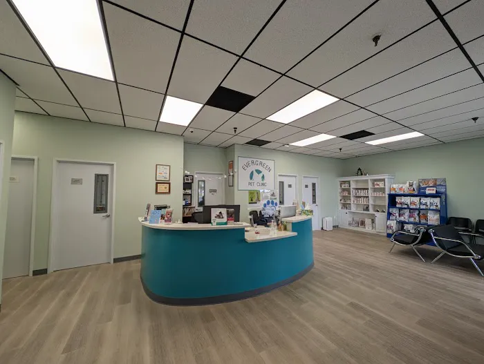 Evergreen Pet Clinic Picture 1