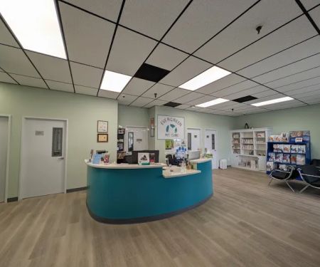 Evergreen Pet Clinic