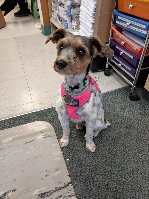 Evergreen Pet Clinic Picture 10