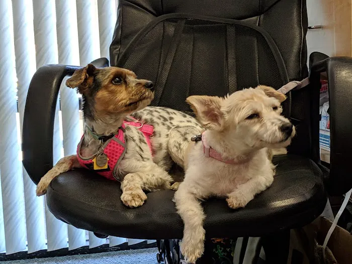 Evergreen Pet Clinic Picture 7