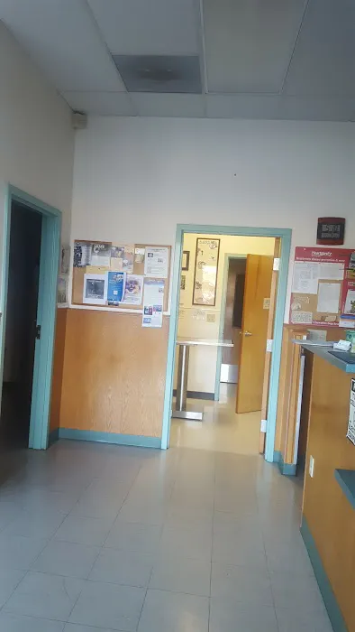 Evergreen Pet Clinic Picture 5