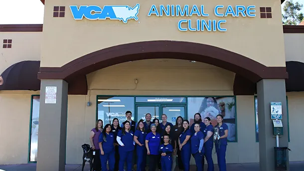VCA Animal Care Clinic Picture 10