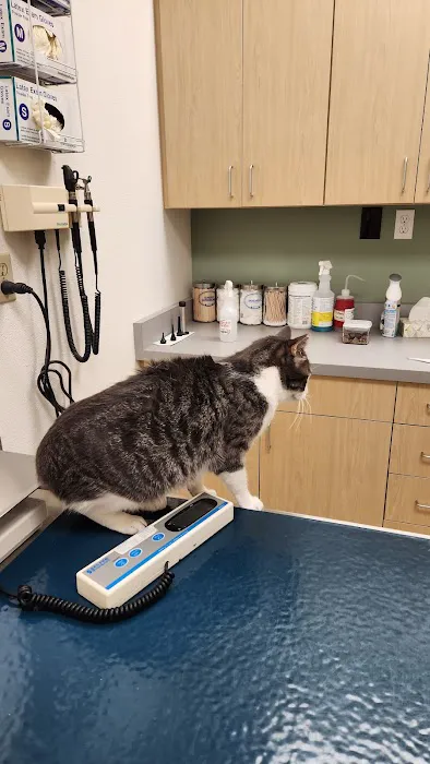 Advanced Veterinary Medical Center Picture 7