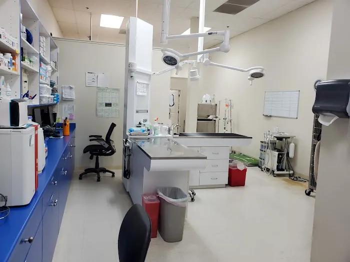 Advanced Veterinary Medical Center Picture 2