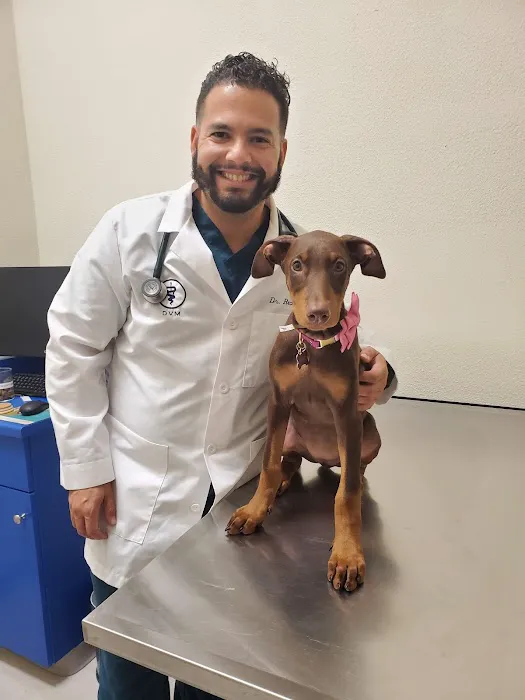 Advanced Veterinary Medical Center Picture 5