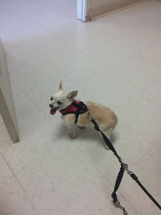 Ark Pet Hospital Picture 5