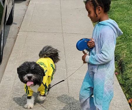 Ark Pet Hospital