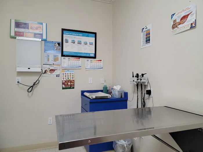 Ark Pet Hospital Picture 2