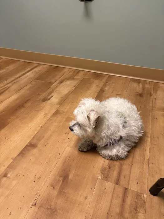 Animal Dermatology Clinic Picture 10