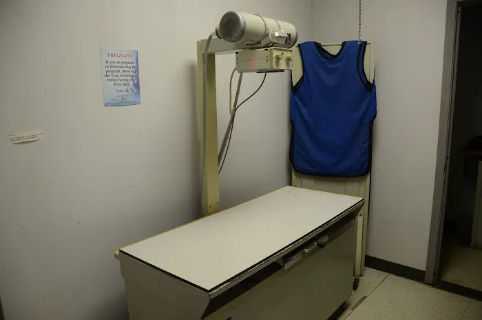 Veterinary Associates Stonefield Picture 4