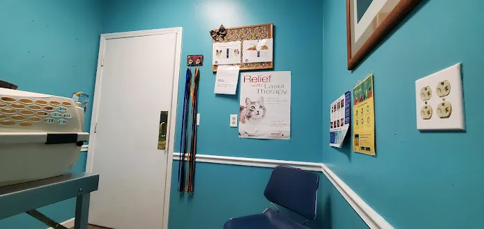 Veterinary Associates Stonefield Picture 9