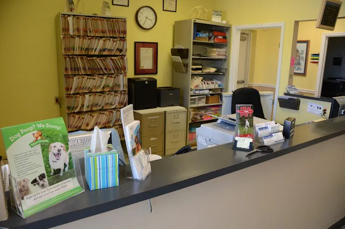 Veterinary Associates Stonefield Picture 3