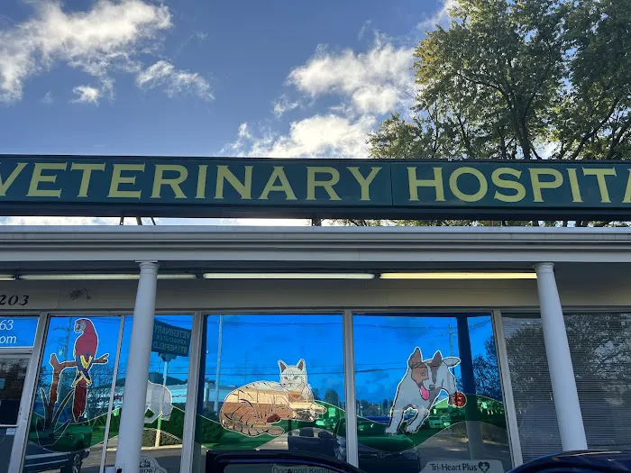 Veterinary Associates Stonefield Picture 2