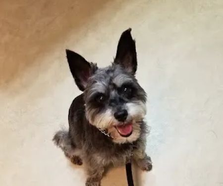 Middletown Animal Clinic