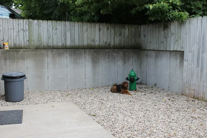 Evergreen Animal Hospital Picture 8