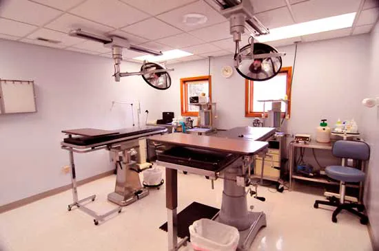 Evergreen Animal Hospital Picture 4